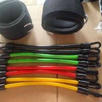 Herramienta Perfecta para Glúteos: Entrenador de Empuje de Cadera para un Trasero Firme y Curvilíneo, Banda de Resistencia de Látex, Cuerda para Dominadas, Correa para Puente de Glúteos, Fitness
