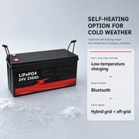 Batterie LiFePO4 à décharge profonde pour stockage d'énergie solaire domestique, étanche IP65, auto-chauffante, Bluetooth, OEM ODM, 12V 24V 48V