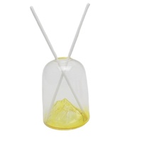 Nouvel Arrivage Bouteille en Verre Diffuseur d'Huiles Essentielles Unique en Borosilicate de Haute Qualité, Scellée au Liège, Décalcomanie Imprimée, Vente en Gros 300ml