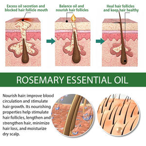 Aceite esencial de Romero natural de alta calidad para el cuidado de la piel y el cabello, aceite de Romero para acelerar el crecimiento del cabello, 60ml - Product Image 5