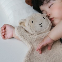 Lindo Oso de Peluche con Babero Antiderrames, Paño Suave para Limpiar Manos y Paño Calmante, Set de Regalo para Recién Nacidos e Infantes