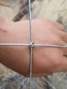 Valla para ganado de <span class=keywords><strong>hierro</strong></span> galvanizado de bajo precio, tipo No Climb, para ovejas y ganado de granja - Product Image 5