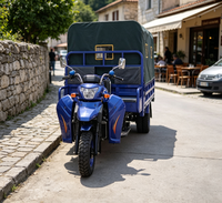 Tricycle de livraison à trois roues, moteur essence 200cc, fourgon ouvert profond, moto-cargo à essence pour adultes