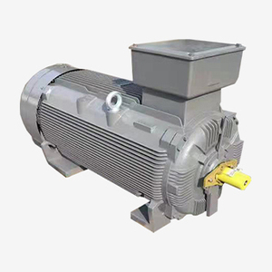 มอเตอร์ AC เทโค 160 กิโลวัตต์ มอเตอร์เทโค มอเตอร์เหนี่ยวนำ 3 เฟส - Product Image 3