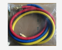 Tuyau de charge de réfrigérant AC pour automobile R134a haute pression 800 psi 1/6 W.P