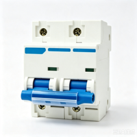 Interruptor Automático Miniatura DZ47 125 2P 125A, Montaje en Riel DIN, Protección Contra Sobrecarga y Cortocircuitos, para Caja de Distribución