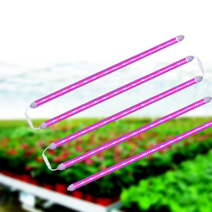Tube LED de culture <span class=keywords><strong>pour</strong></span> plantes verticales d'intérieur, spectre complet 10w 20w 50w, T8 <span class=keywords><strong>T5</strong></span> 4ft, <span class=keywords><strong>fluorescent</strong></span>, avec IP65 LM281B - Product Image 3