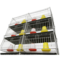 Système de cage automatique galvanisée pour cailles pondeuses, pour une aviculture efficace et une production élevée d'œufs