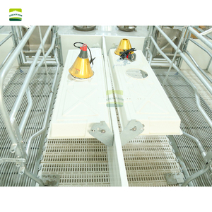 Cage de maternité double pour truies, galvanisée à chaud, de type européen, 3,6 x 2,4 m |   Lit de maternité pour truies, cage de gestation pour élevage porcin - Product Image 4