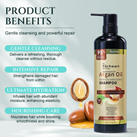 Sampo Minyak Argan Bebas Sulfat untuk Pertumbuhan Rambut, Sampo Anti Ketombe 2 in 1, Bernutrisi Organik, OEM ODM Salon