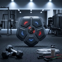 Machine de boxe murale intelligente Smart Music ABC Material |   Dispositif d'entraînement de boxe