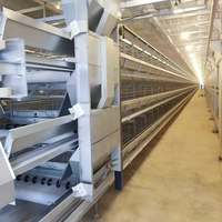 Cage à poules pondeuses de type H en acier galvanisé à chaud, robuste, pour les élevages avicoles à grande échelle