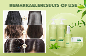 Nhãn Hiệu Riêng Chăm Sóc Tóc Điều Trị Hữu Cơ paraben Miễn Phí Cây Trà Dầu Bạc Hà Dầu Gội Đầu Và Điều Hòa Thiết Lập Cho Tất Cả Các Loại Tóc - Product Image 6