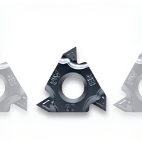 Factory Iso Thread Inserts 16ER 16IR 11ER 11IR 22ER 22IR AG60 Carbide Cutting Tool Insert