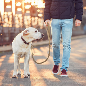 Laisse de traction pour chien anti-explosion, élastique et rétractable, pour chien de taille moyenne à grande, laisse rétractable dorée pour chien, chaîne pour animaux de compagnie - Product Image 4