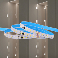 Bande lumineuse LED RGBIC WS2811 2835 120 LED/m 12V 24V IP65 Étanche Adressable Individuellement Effet de poursuite Flexible CE RoHS