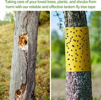 Rouleau de panneaux adhésifs jaunes faciles à déchirer et à découper, double face, forte adhérence pour plantes d'intérieur et d'extérieur