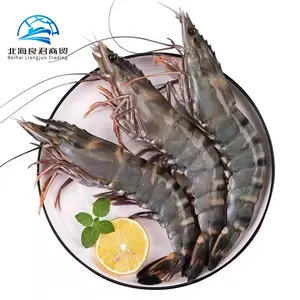 wholesale high quality China fresh sea food frozen cheap Cultivating natural live black tiger shrimp for sale