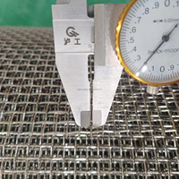 Rouleau de treillis métallique en acier inoxydable duplex/1.22x9 mètres 4 10 12 20 mailles duplex 2507 écran de fil d'acier 2205