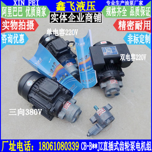 Unité combinée pompe à huile et moteur à insertion directe CB-B2.5JZ, CB-B4JZ, CB-B6JZ, CB-B10JZ pour pompes hydrauliques - Product Image 3