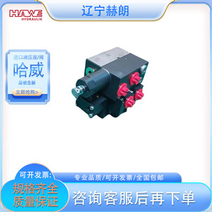 วาล์วไฮดรอลิกแบบหลายทิศทาง Hawe Sl 2 A 2 L 6 6 Ea 1 2 G 24  วาล์วควบคุมเซอร์โวสแตนเลส - Product Image 5