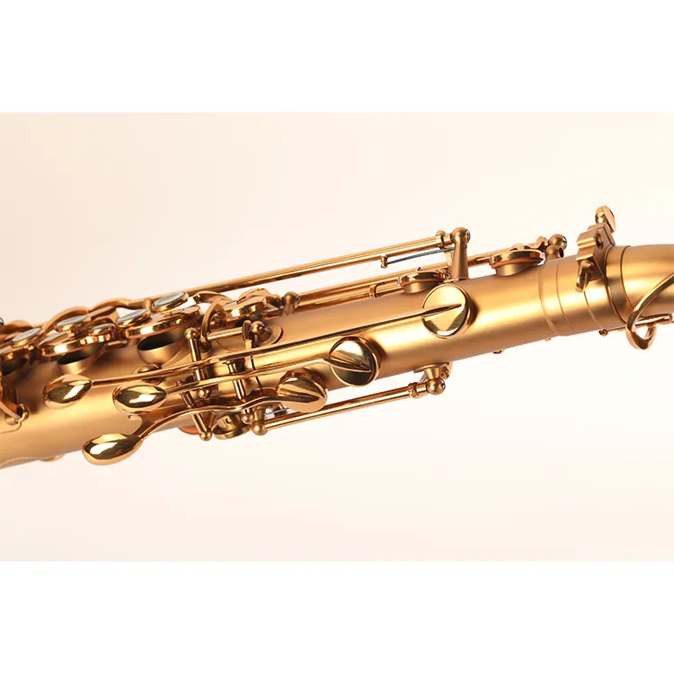 Draagbare Messing <span class=keywords><strong>Tenor</strong></span> Aangepaste <span class=keywords><strong>Saxofoon</strong></span> Tenorsaxofoon <span class=keywords><strong>Professionele</strong></span>