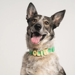 <span class=keywords><strong>Collar</strong></span> de silicona de PVC impermeable con logo personalizado al por mayor, <span class=keywords><strong>collar</strong></span> de goma DIY para mascotas, dijes de diseño coloridos para paseos diarios y días lluviosos - Product Image 4