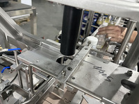Ligne de remplissage et de bouchage de liquides à petite échelle pour l'embouteillage de boissons, d'aliments et de jus, pour usage en usine