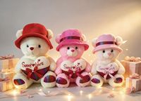 Cadeau de la Saint-Valentin, ours en peluche personnalisé, doux et câlin