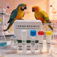 Kit de test diagnostique vétérinaire lyophilisé PCR en temps réel pour l'identification sexuelle des perroquets, détection d'ADN d'oiseau VIUICK SG-D-4031 Sûr
