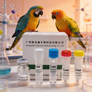 Kit de <span class=keywords><strong>test</strong></span> diagnostique vétérinaire lyophilisé PCR en temps réel pour l'identification sexuelle des perroquets, détection d'<span class=keywords><strong>ADN</strong></span> d'oiseau VIUICK SG-D-4031 Sûr - Product Image 1