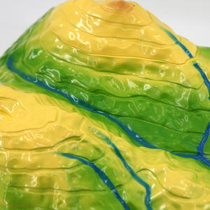 Mapa Topográfico Magnético Grande 34015 con Líneas de Contorno, Modelo de Interpretación para Geografía Escolar, Tipo Otro, Formas de Relieve - Product Image 4