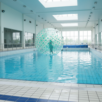 Ballon Zorb Gonflable Transparent en PVC de 3m pour Parc Aquatique, 1-2 Passagers, Extérieur - Vente en Gros par le Fabricant Wolong