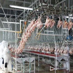 Qingdao Raniche Used Slaughterhouse Equipment For Sale Animal Slaughter Machine Abattoir Chicken Feet Processing