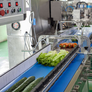 Landpack, автоматическая упаковочная машина для выращивания бобов, фруктов, свежих овощей, картофеля, упаковочная машина для подушек - Product Image 5