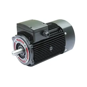 24V 1,5 kW Gleichstrom motor 48V Gabelstapler motor Gleichstrom getriebe Permanent magnet motor