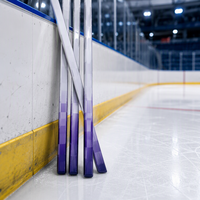 Bâton de hockey sur glace 2025 en fibre de carbone, professionnel, pour la compétition et l'entraînement, durable, design ergonomique, utilisation en intérieur et en extérieur, personnalisable