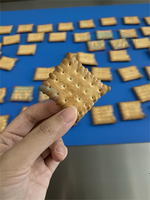 Skywin 2026 Nouvelle Machine Automatique pour la Fabrication de Biscuits Durs et Moelleux, Équipement de Boulangerie à Base de Farine et d'Eau, Dimensions Réglables