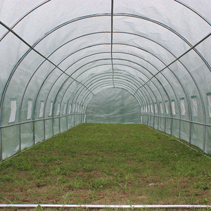 2017 <span class=keywords><strong>Tunnel</strong></span> de tomate de maison verte de haute qualité avec cadre en métal facilement assemblé et type de bois naturel traité sous pression - Product Image 5