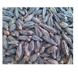 ราคาขายส่งตลาดชอติ ฮารัด ฮาริตากิ สมุนไพรแห้งธรรมชาติ ทีเทอร์มินัลเลีย ชีบูลา (บาล ฮีร์ดา/ฮิมัจ) - Product Image 2