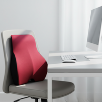 Coussin de Soutien Lombaire en Mousse à Mémoire de Forme Réglable Bidirectionnel pour Chaise de Bureau et Voiture, Ergonomique, Soulagement de la Douleur, Massage
