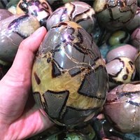 Oeufs de septarium de Madagascar en cristal de guérison naturelle spéléologie oeuf poli septarien pour la décoration