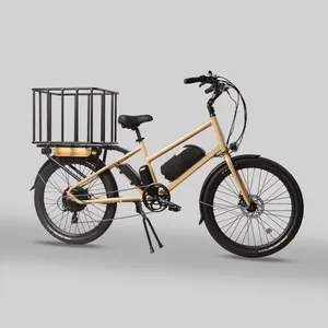 500w poderosa 2 rodas carga ebike city bike carga para adulto com bateria bicicletas elétricas carregar bens