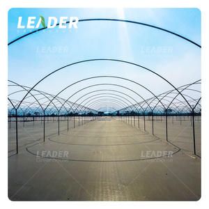 Cerceau de serre à <span class=keywords><strong>tunnel</strong></span> multi-travée de 9m <span class=keywords><strong>pour</strong></span> l'agriculture à faible coût avec couvercle en plastique et cadres galvanisés <span class=keywords><strong>pour</strong></span> la culture de légumes - Product Image 6