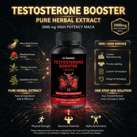 Comprimés de mélange d'herbes de Maca à haute puissance 3000mg – Supplément naturel à base d'extraits végétaux pour l'énergie quotidienne et la performance physique des hommes
