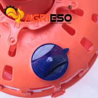 Ligne d'alimentation automatique pour volailles avec mangeoire à plateau et système de chaîne pour ferme avicole commerciale, solution clé en main