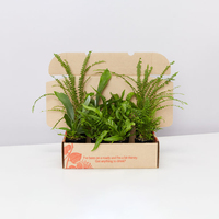 Boîte d'expédition en carton pour plantes vivantes en pot, personnalisée et imprimée