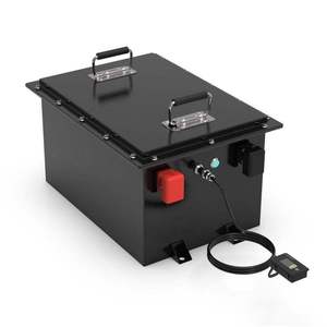 Custom LiFePO4 <b>Battery</b> Pack 48V 51.2V 50Ah 100Ah 200Ah Lithium <b>Battery</b> for Forklift Pallet Truck - Product Image 1
