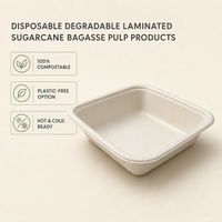 Barquette pour repas prêts à consommer en bagasse de canne à sucre avec revêtement PET, faible coût de moulage personnalisé, sans PFAS, compostable, pour aliments surgelés