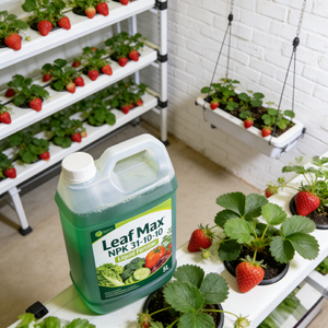 Fertilizante de Alto Contenido de Nitrógeno Leaf Max <span class=keywords><strong>NPK</strong></span> 31-10-10 - Crecimiento de Follaje Lujoso y Potenciador de Hojas Verdes - Product Image 4